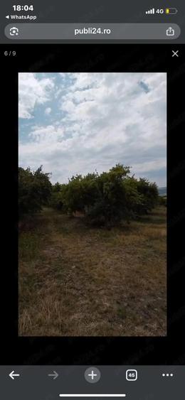 Teren de 15700 mp, în Central