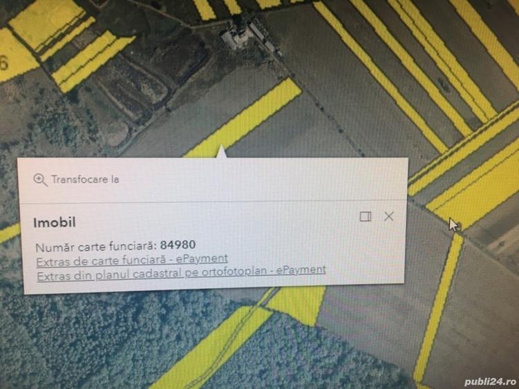 Teren de 10000 mp, în Priseaca