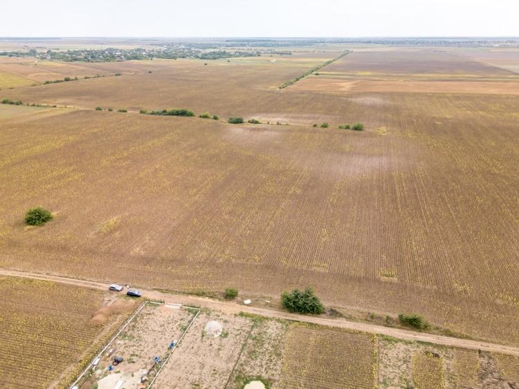 Teren Construcții intravilan de 11332 mp, în Dascălu