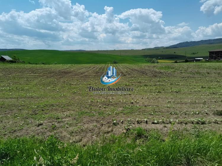 Teren Construcții intravilan de 8500 mp, în Periferie