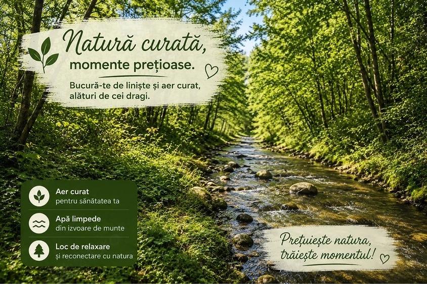 Teren de 4513 mp, în Rugetu (Slătioara)