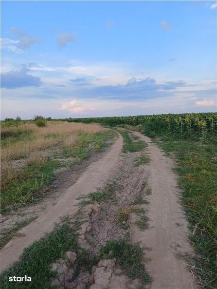 Otopeni-Str.Dr.Garii Balotesti-11.700mp-front 37ml-Ideal Investitie - 3