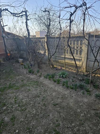 Casă cu 3 camere cu Teren 1800 Mp în Drăgoiești