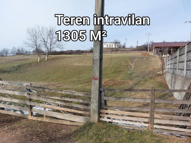 Casă cu 4 camere în Valea Crișului