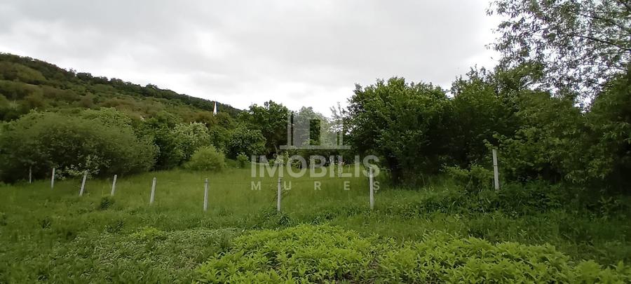 Teren Construcții intravilan de 994 mp, în Budiu Mic