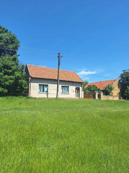 Teren de 8000 mp, în Chevereșu Mare