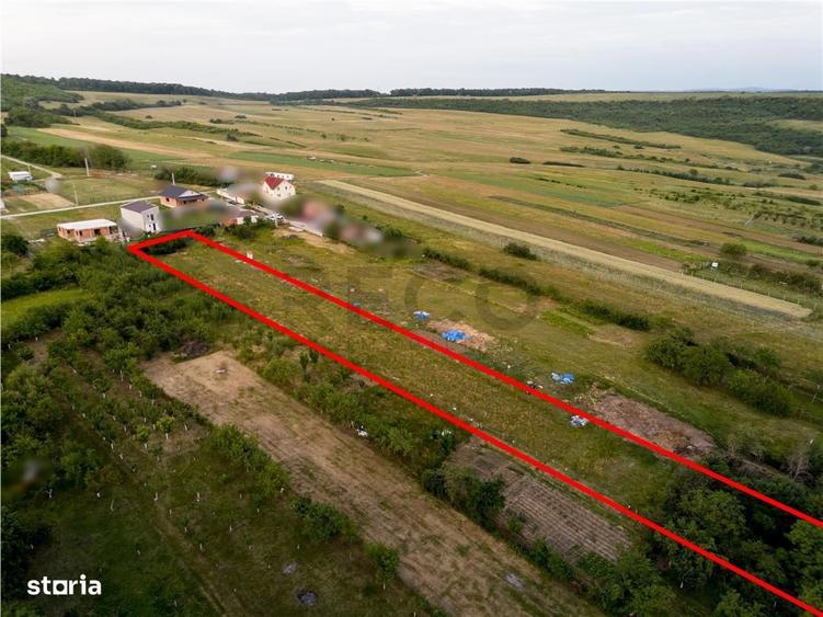 RECO Teren intravilan de vanzare Betfia, Bihor - 3000 mp, front strada - 6