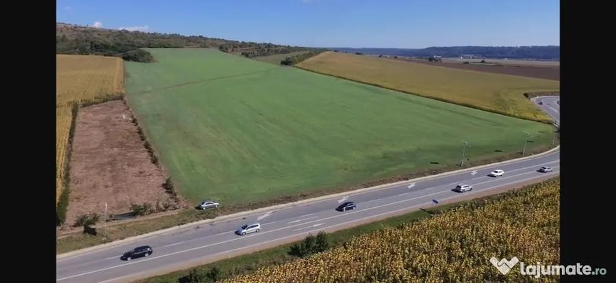 Teren de 3100 mp, în Pătrăuți