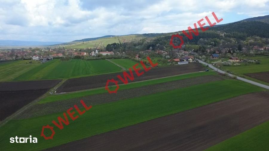 Teren de 5000 mp, în Ozun