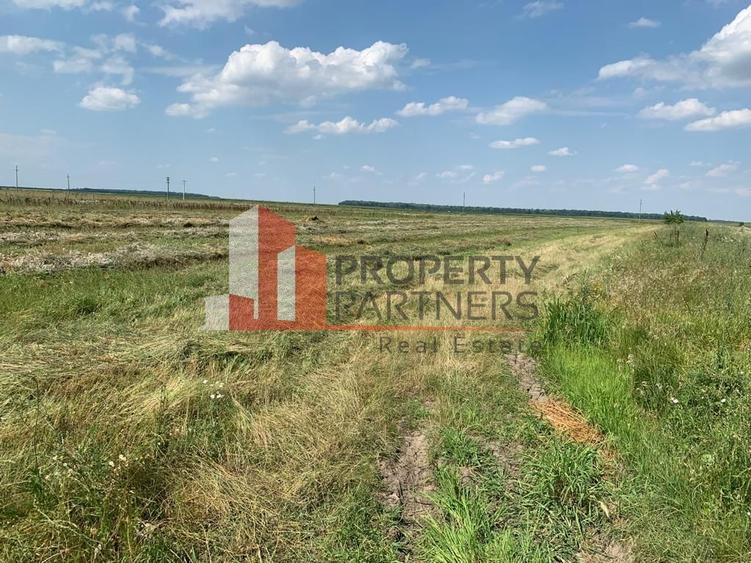 Teren Construcții extravilan de 49600 mp, în Moara Vlăsiei