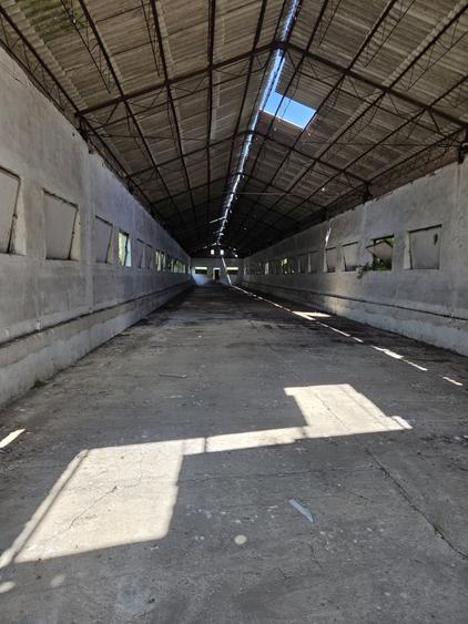 Teren de 3200 mp, în Variaș