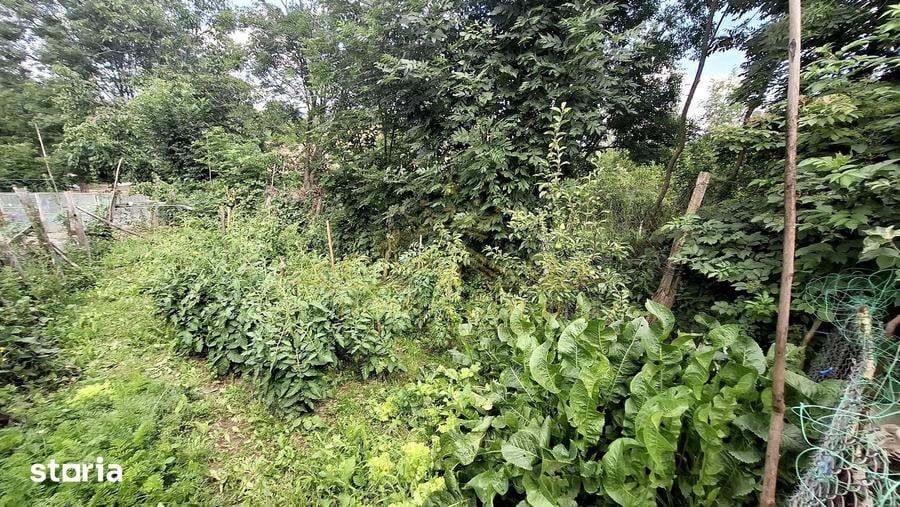 Casă cu 2 camere cu Teren 4000 Mp în Iara