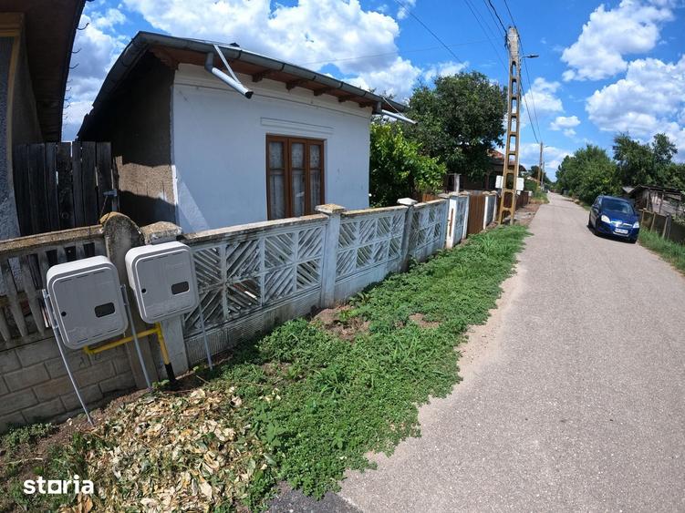 Casă cu 3 camere cu Teren 1038 Mp în Vedea