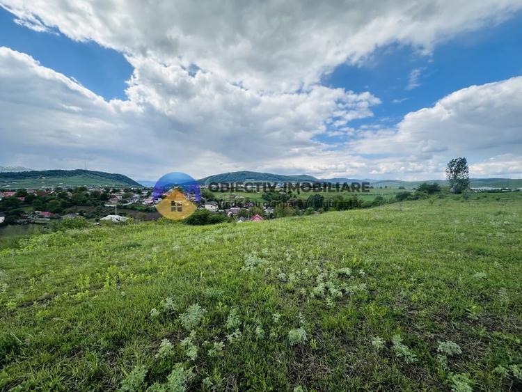 Teren agricol intravilan de 3000 mp, în Ciritei