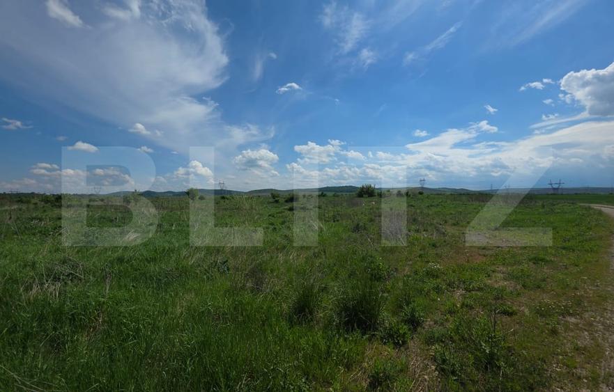 Teren agricol extravilan de 44376 mp, în Est