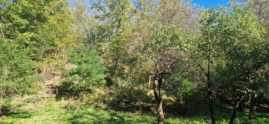 Teren de 3720 mp, în Govora