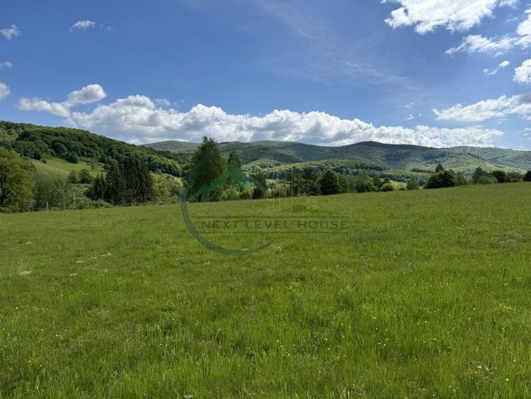 Teren Construcții intravilan de 34602 mp, în Valea Dobârlăului
