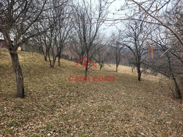 Casă cu Teren 1358 Mp în Gura Beliei