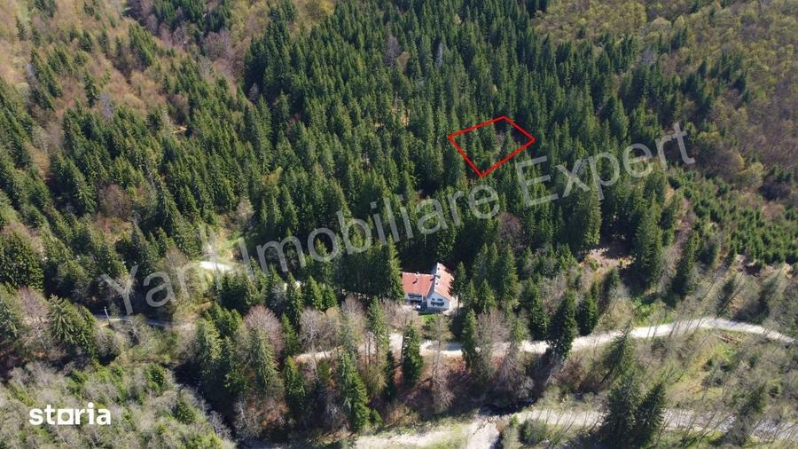 Teren de vanzare pe Valea Valsanului, judet Arge?. - 7