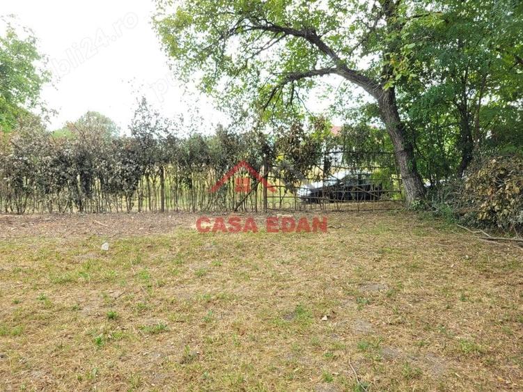 Casă cu Teren 2093 Mp în Bănești