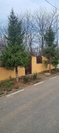 Casă cu 5 camere cu Teren 760 Mp în Central