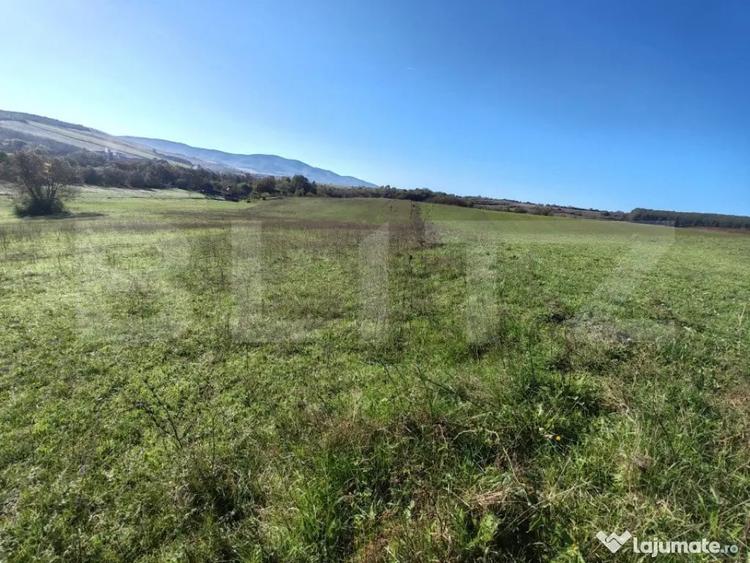Teren de 2900 mp, în Central
