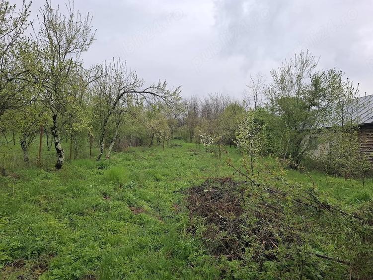 Teren de 3000 mp, în Predeal