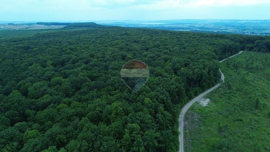 Teren agricol extravilan de 95000 mp, în Șerbăuți