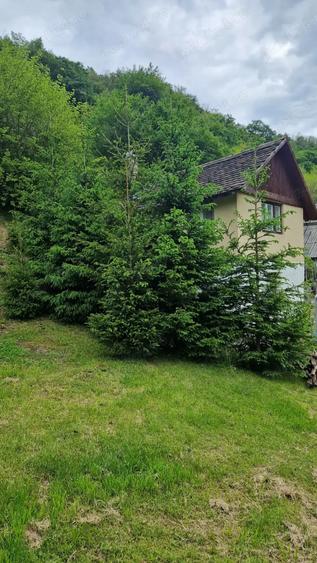 Teren de 4800 mp, în Căpâlna