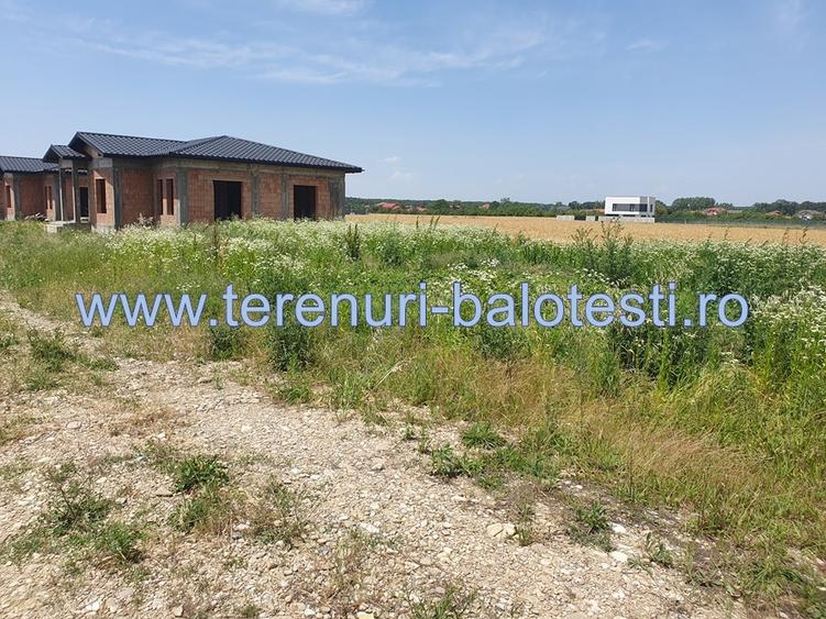 Teren Balotesti,padure Sri,19500 euro - 6