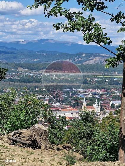 Casă cu 3 camere cu Teren 6000 Mp în Central
