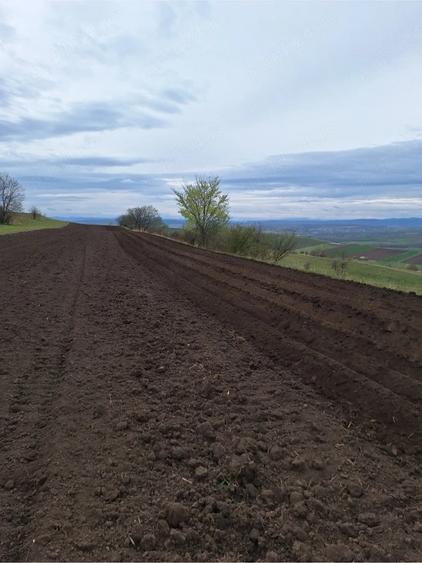 Teren de 30000 mp, în Mihoveni