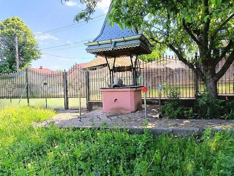 Casă cu Teren 10000 Mp în Bucșești