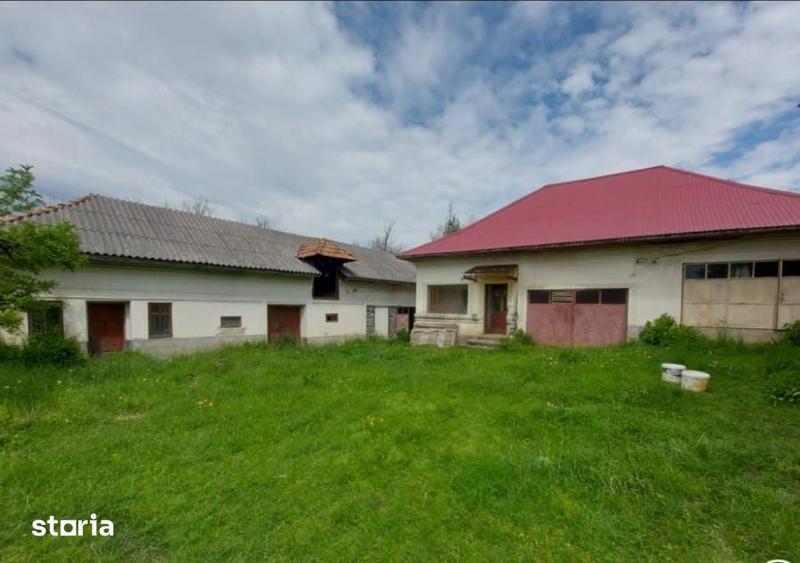 Vanzare casa si teren, sat Laicai - comuna Ceta?eni, jude?ul Arges - 4
