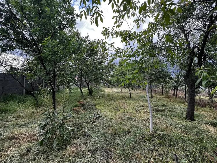 Teren de 675 mp, în Central