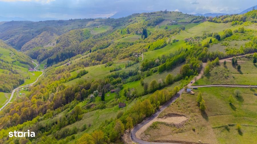 Teren de 18537 mp, în Poiana Mărului