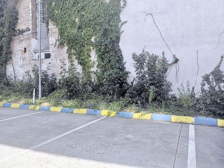 Birou, de 202 mp, în Moșilor