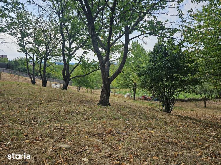 Teren de 1600 mp, în Nicolina