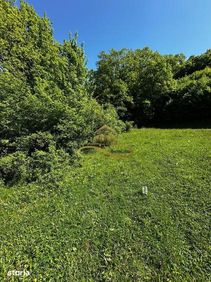 Teren de 1439 mp, în Mărgineni