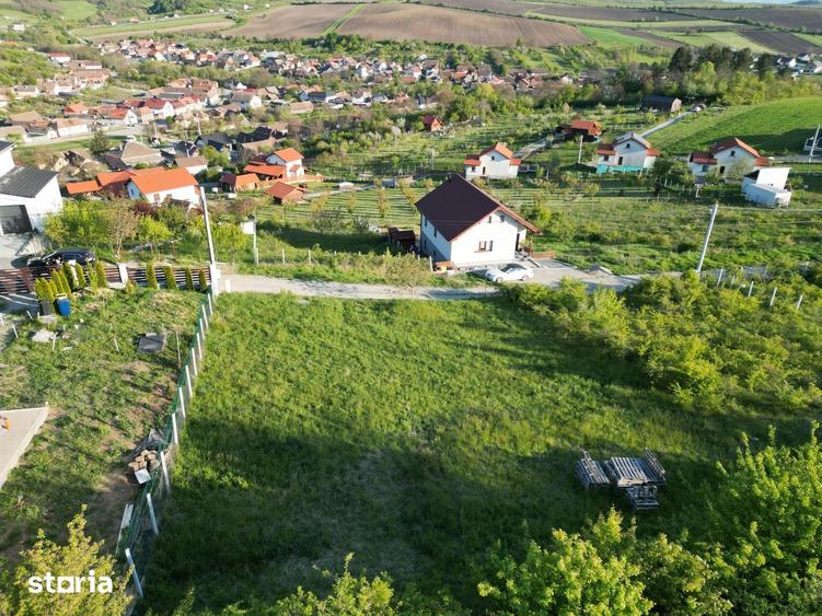 TEREN DE VANZARE HAMBA | Priveliste de poveste! - 1