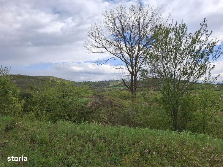 Parcele de teren intravilan cu utilitati-Rasinari-Sibiu - 4