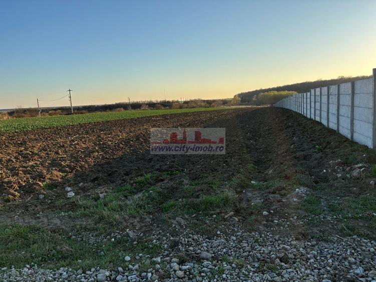 Teren Construcții intravilan de 3784 mp, în Izvorani