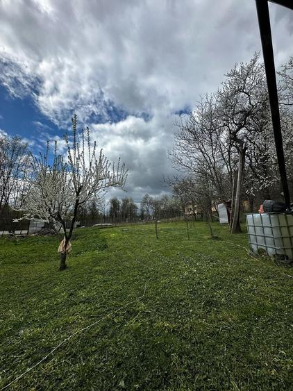 Casa tradi?ionala restaurata de vanzare - 2