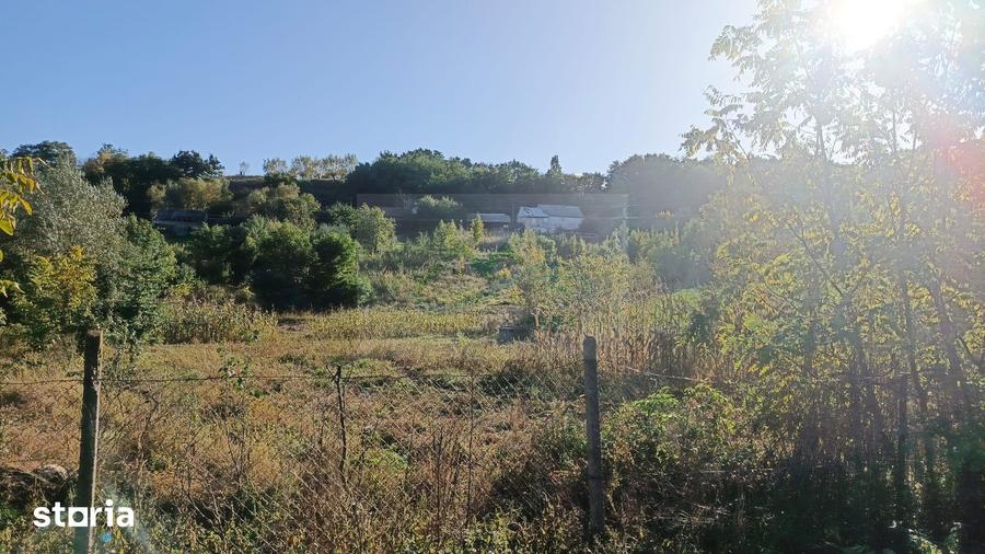 Teren de 3400 mp, în Horodnic