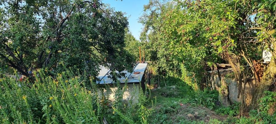 Teren Construcții intravilan de 2800 mp, în Domnești