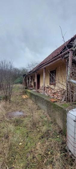 Casă cu Teren 1306 Mp în Murani