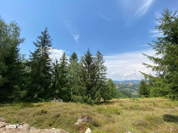 Teren intravilan 3.120 mp in Sohodol, Albac - Muntii Apuseni - 4