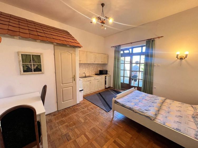 Garsoniera cu terasa proprie in vila interbelica | 20 mp + 16 mp terasa | Centru - 3