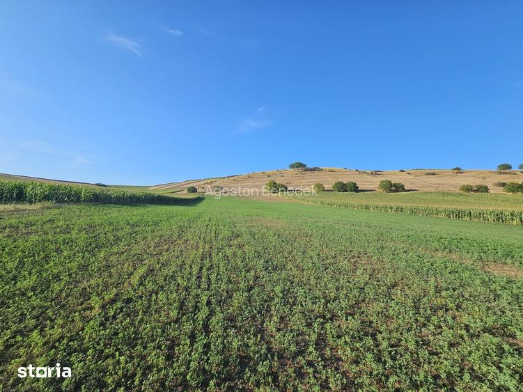 Casă cu 4 camere cu Teren 33000 Mp în Valea