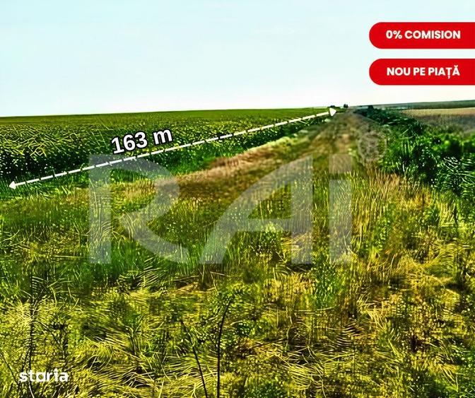 Teren de 17063 mp, în Cârcea